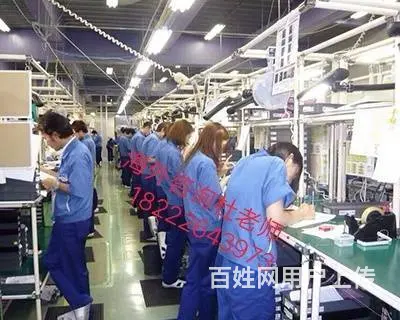 澳洲直招 （无费用）年薪60万华人雇主担保工签 - 图片 4