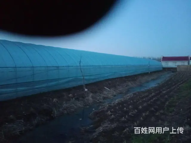 民房出售带冷棚 - 图片 5