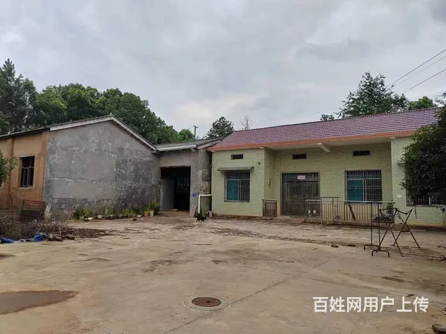（老板本人）宁乡花明楼高速口附近厂房仓库房东低价出租6738 - 图片 3