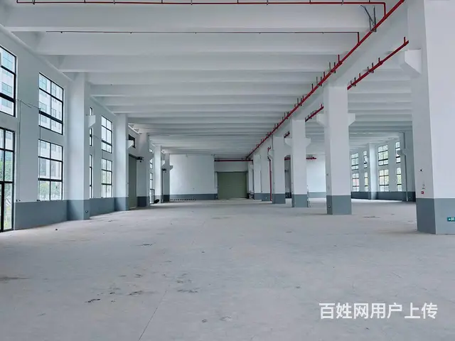 （老板本人）望城标准园区厂房仓库出租6693 - 图片 1