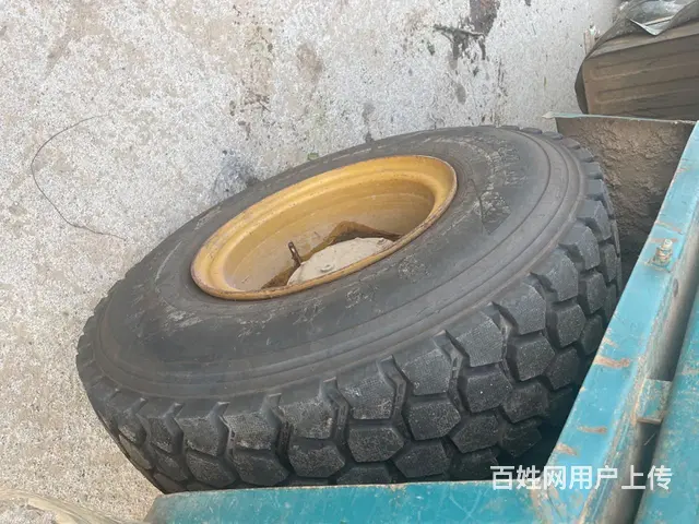 钦机海龙 - 图片 5