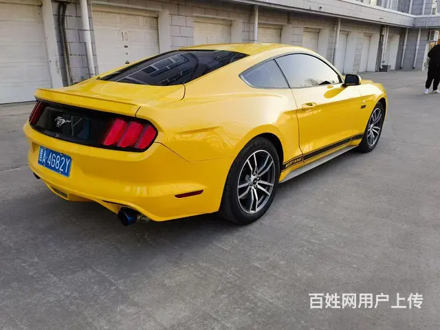 福特Mustang [野马] 2016款 2.3T 手自一体 - 图片 8