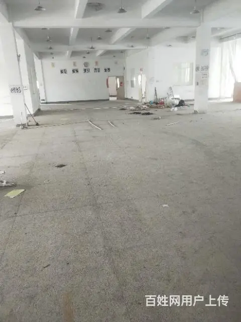 花桥独栋厂房出租 - 图片 2