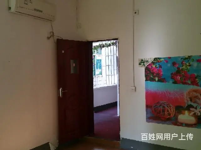精品配套单间和1室1厅出租 - 图片 4