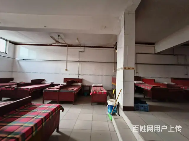 焦东路小学北校区十七中 北环路岗庄独院 - 图片 8