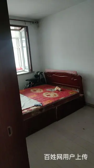 房屋出租 - 图片 2