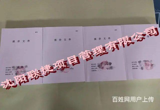 沈阳标书制作，文件精美，内容丰富。 - 图片 6