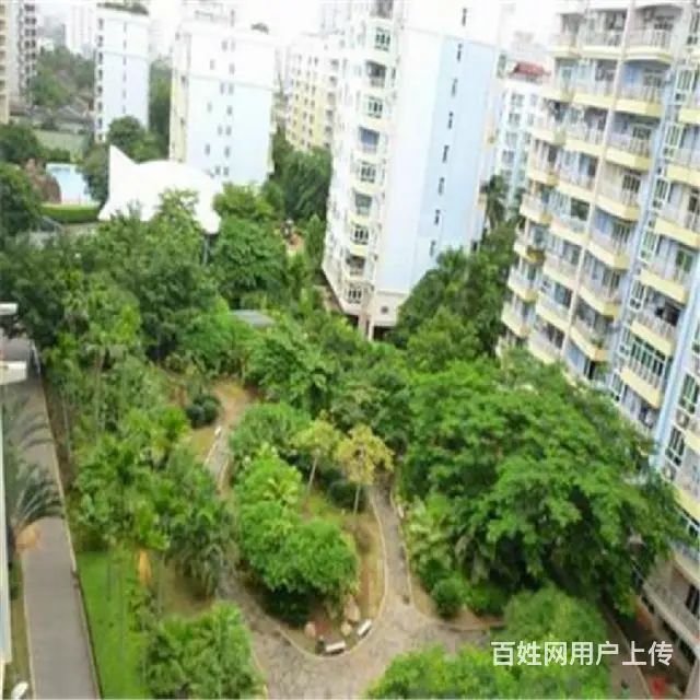 世贸文华市场商圈    成信景苑2房 带露台 - 图片 12