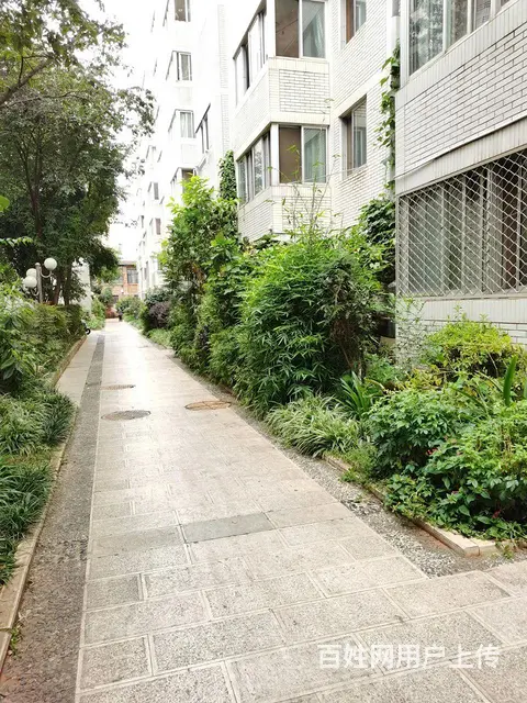 云铝小区 1楼 房屋出租春城路国贸中心 - 图片 1