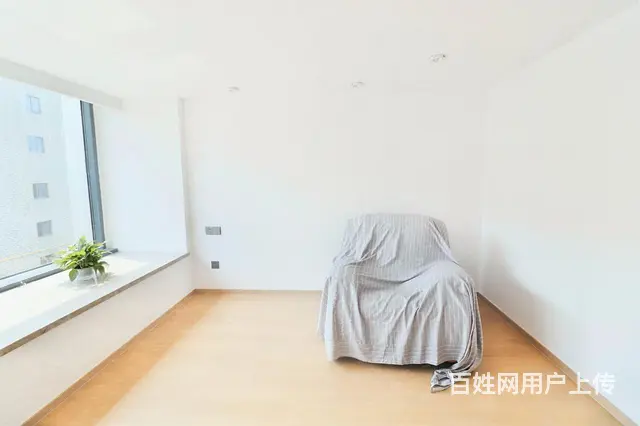 绿城青亭 新交付loft 精装修双钥匙公寓 诚心卖 - 图片 4