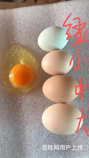 批发笨鸡蛋 - 图片 2
