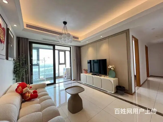 出门武汉站 东湖旁 近杨春湖实验学校 欢乐天际 徐 - 图片 1