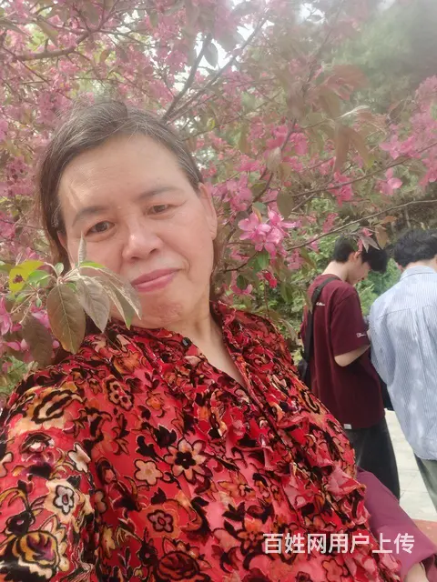 真心找对象结婚 - 图片 3