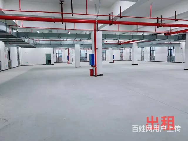 （老板本人）高新区全新标准厂房仓库招租  5849 - 图片 5