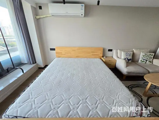 中赢云际精装一室近凯蓝 当虹 浙二 上峰 浙农 游卡滨江基地 - 图片 3