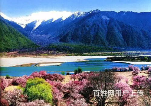 厦门国旅国际旅行社_口碑好服务佳、品牌质量有保证！ - 图片 7