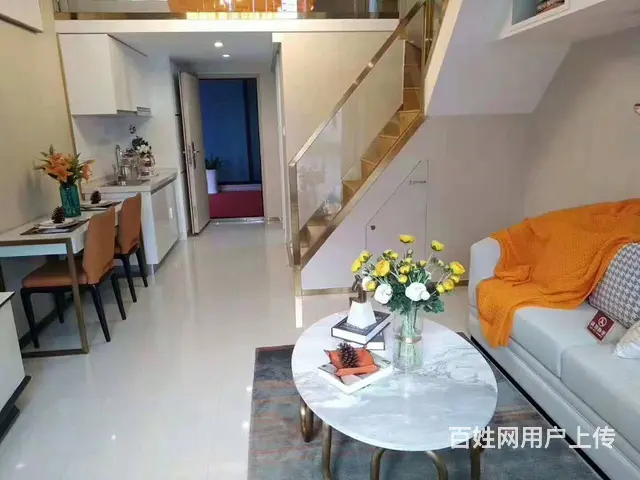 开发商直销 南站地铁口200米 两房 总价90万起 - 图片 4