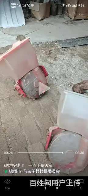 勺的播种体，一对 - 图片 4