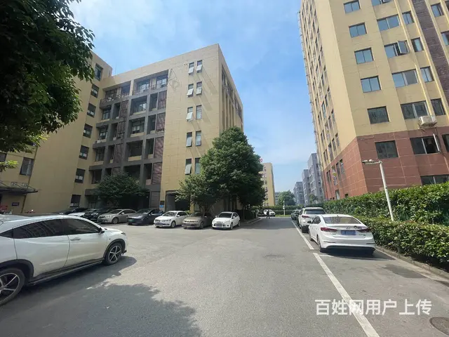 （老板本人）湘江新区同心国际工业园厂房仓库优价出租 6411 - 图片 8