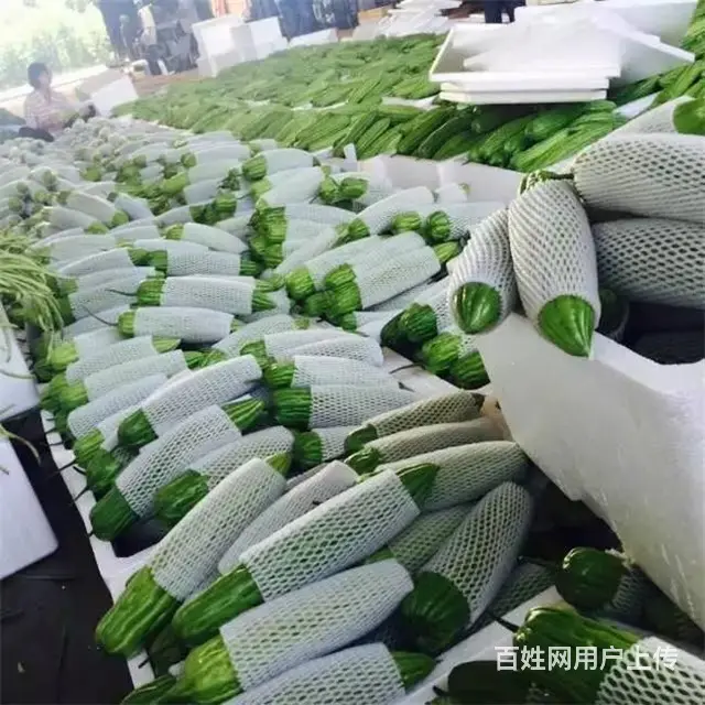 厦门蔬菜配送,厦门生鲜配送 - 图片 3