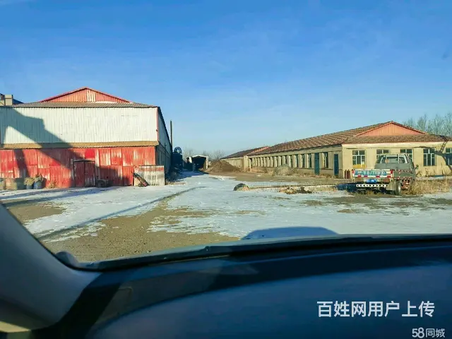 双城厂房出租 - 图片