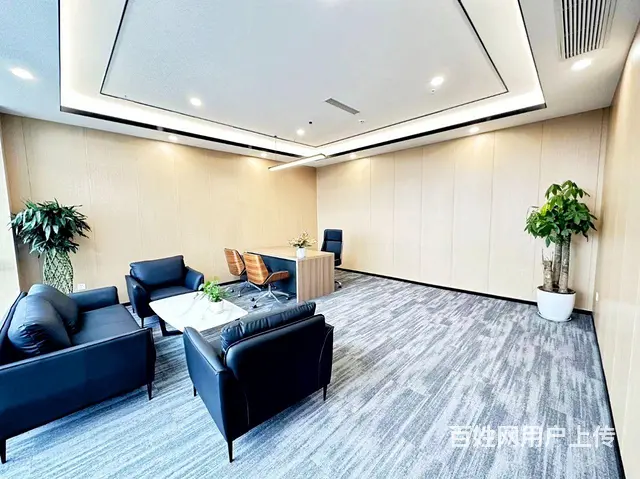 天府菁蓉中心兴隆湖低密阔办公全装全配环保办公家居 - 图片 7