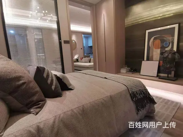 绿地新都会，刚需小户型，首付十几万即可入手 - 图片 5