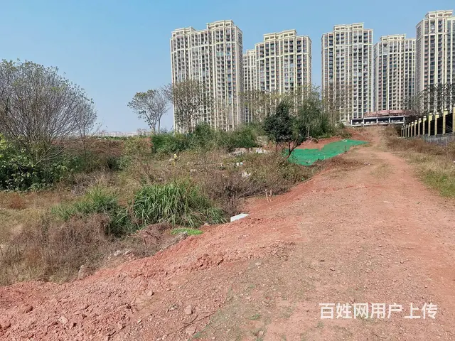 （老板本人）天心区大型场地优价出租  5780 - 图片 12