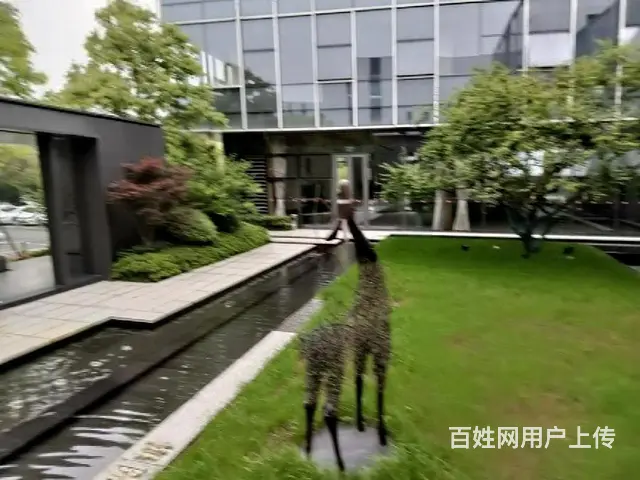 开发商清盘5折出售，富春硅谷独栋写字楼，赠送1000方花园 - 图片 1