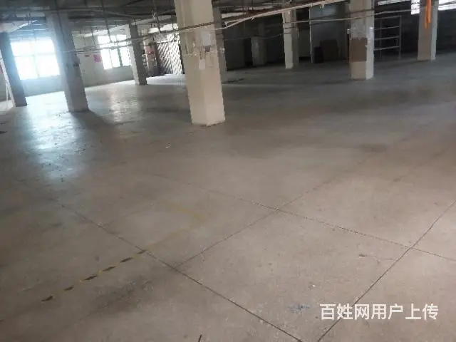 出租普宁流沙东埔周边厂房仓库3一4楼4800平方 - 图片 3