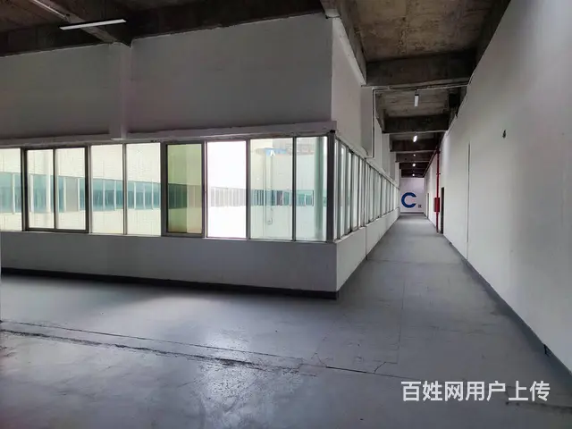 珠海金嘉创意谷旁 200-3000㎡办公运动场地 25元起 - 图片 5
