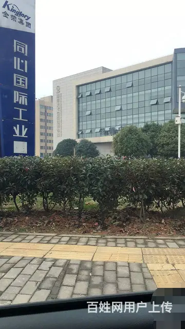 仓库厂房和办公楼出租售，面积500-3千平米以上均可选择 - 图片 4