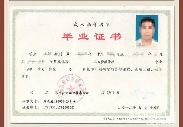 2025年成人本科入学备考哪些/成人本科毕业几年 - 图片