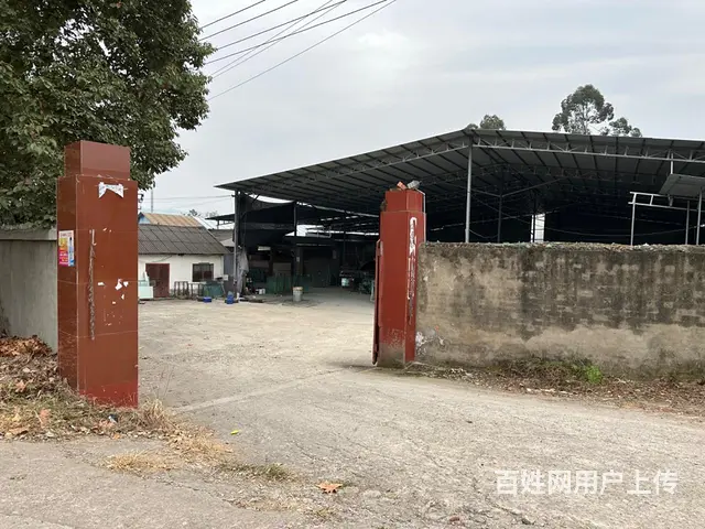 6000平米可分租厂房库房 - 图片 11