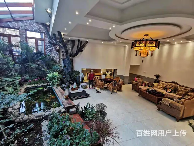 溪岸艺墅一带二叠墅使550米+300米花园豪装2车位 - 图片 1
