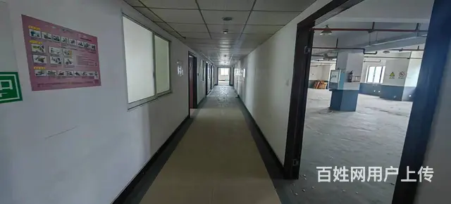 （老板本人）天心区标准园区厂房仓库办公楼招租，可出售5850 - 图片 6