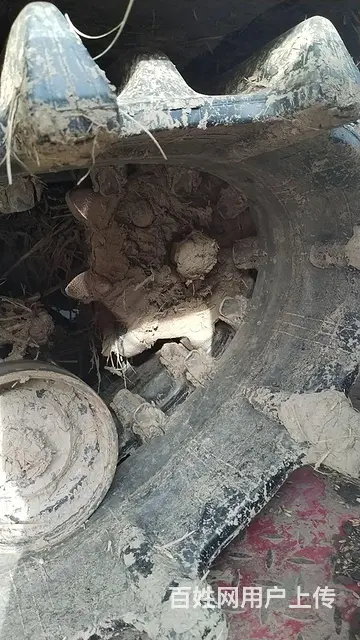 看车谈价 - 图片 7