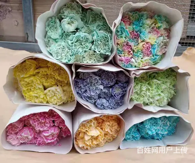 云南昆明 大花卉批发交易市场批发满天星康乃馨玫瑰 - 图片 2