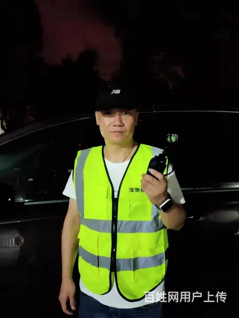 常州宠物救援队 - 图片 2