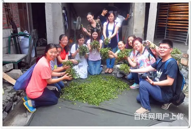 天晟茶艺培训学校有分校吗? - 图片 11