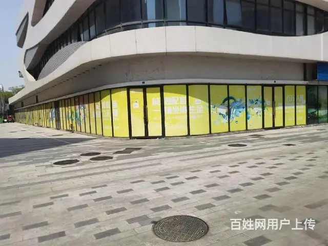 单价9转角商铺 20个车位 市中心送4套一楼商铺 沿街现铺 - 图片 8