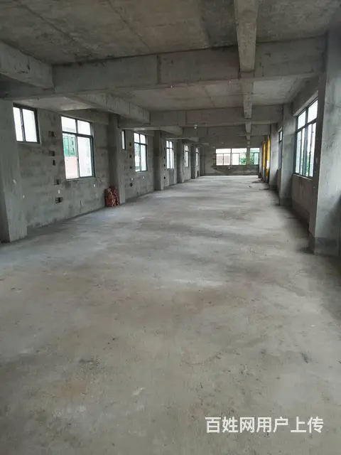 （51旺铺推荐）椰海明珠小区对面750平整栋招租 - 图片 4