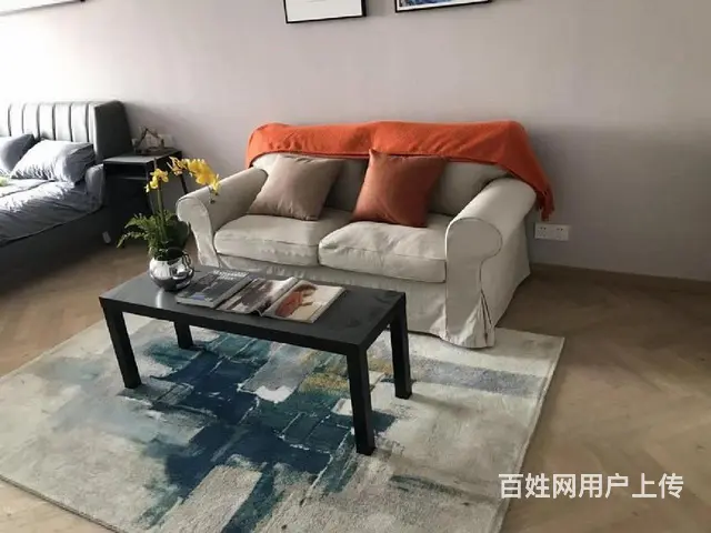 武进客运站红星美凯龙首付15万朝南现房公寓自带商场民用水电 - 图片 4