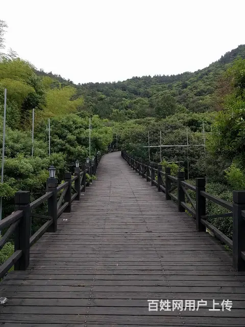 【搞定了！】苏州树山木栈道绝情谷翡翠湖勾吴阁休闲爬山拍照 - 图片 3