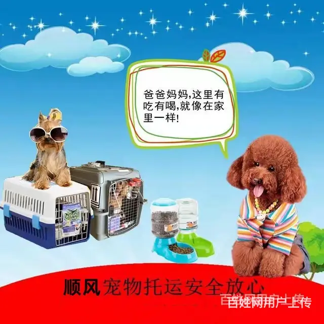 林芝宠物托运（猫狗）邮寄快递运输（承接所有活体运输 - 图片 7