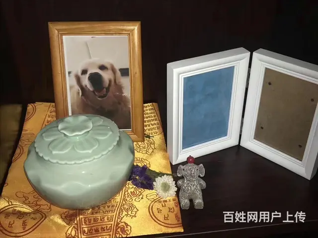 四平市宠物火化殡葬 - 图片 4