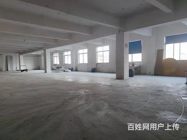 河海西路195号，三井2楼400平厂房出租 - 图片 3