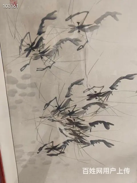 白石老人 - 图片 5