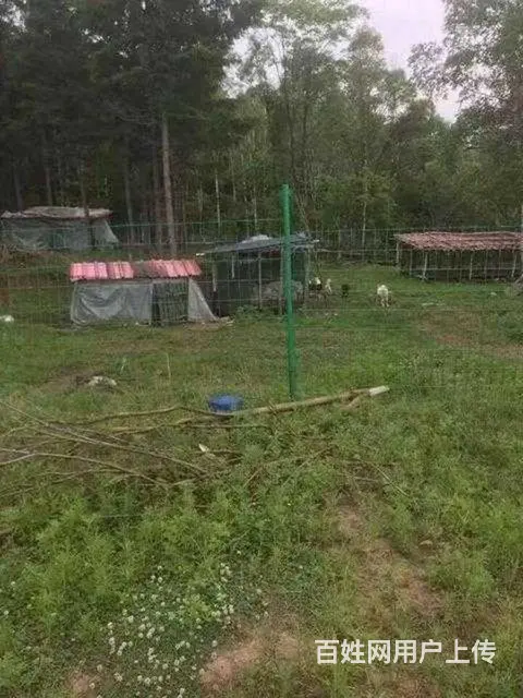 尚志市帽儿山度假山庄出售 - 图片 6