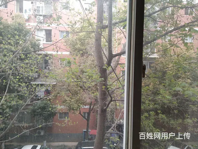 （个人）亲水滩，电信广场，多层三楼，南北向，幽静。 - 图片 10